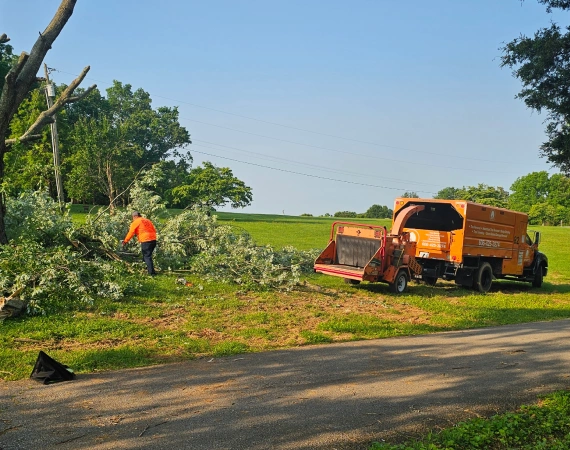 24 Hour Emergency Tree Service
