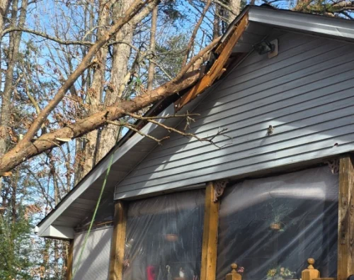 Storm Damage & Fallen Tree Cleanup