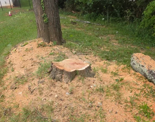 Stump Removal