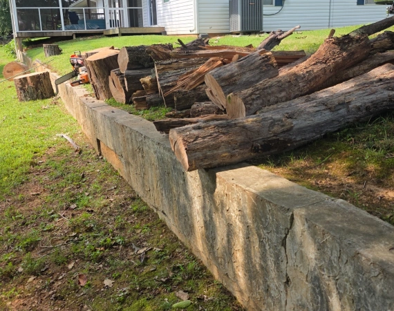 Tree Removal